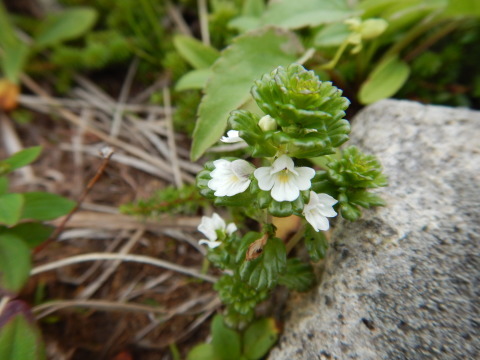 f0118332_14545869.jpg