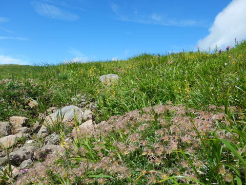 f0118332_14572602.jpg