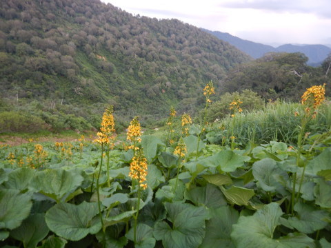 f0118332_14583540.jpg
