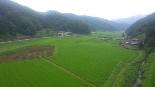 c0300035_16343036.jpg