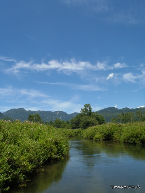 d0182245_23132450.jpg