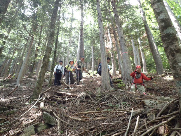 f0214649_2381373.jpg