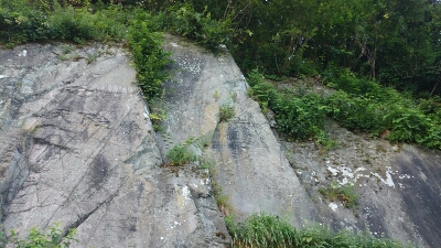 b0148050_12464289.jpg