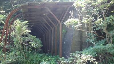 b0148050_1252628.jpg