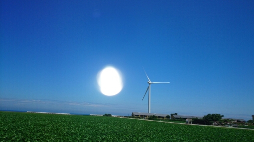 b0148050_12533271.jpg