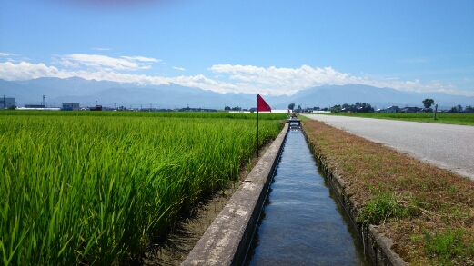 b0148050_12541885.jpg