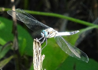e0172950_2062815.jpg