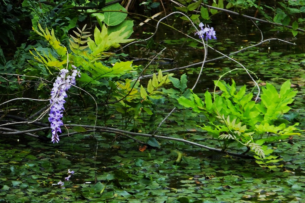 b0236251_13355053.jpg