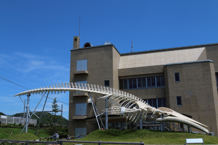 d0152261_1804442.jpg