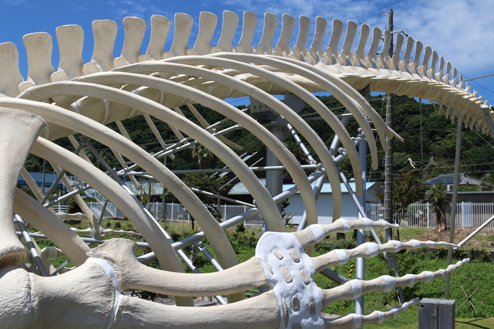 d0152261_184451.jpg