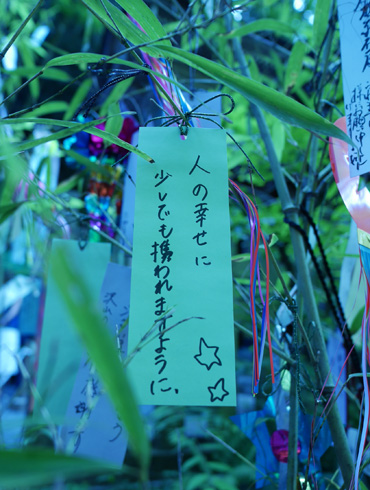 b0086273_15413033.jpg