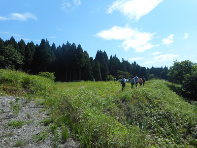 c0152274_939434.jpg