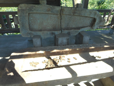 c0152274_952621.jpg