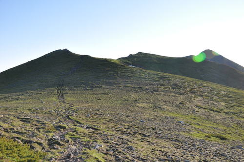 f0130376_20491037.jpg
