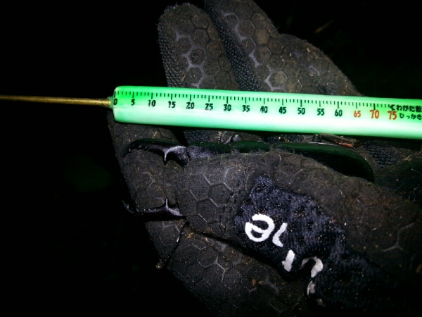 f0183484_23453810.jpg