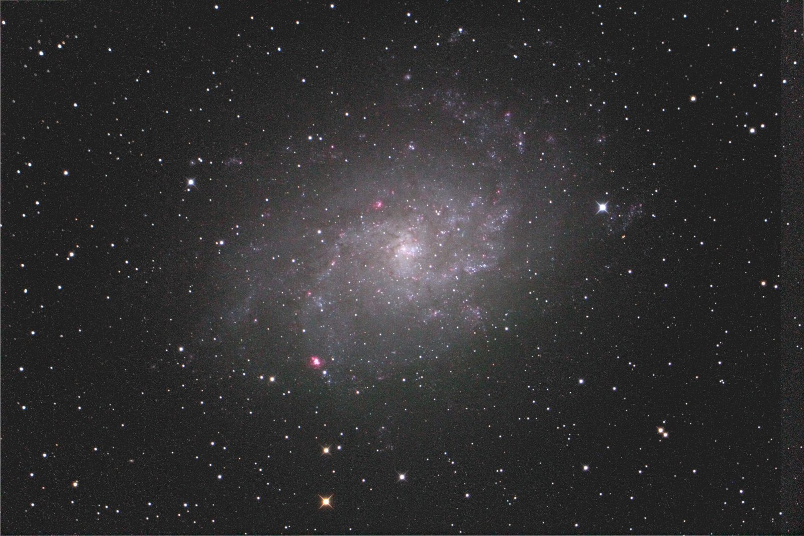 d0251387_5553040.jpg