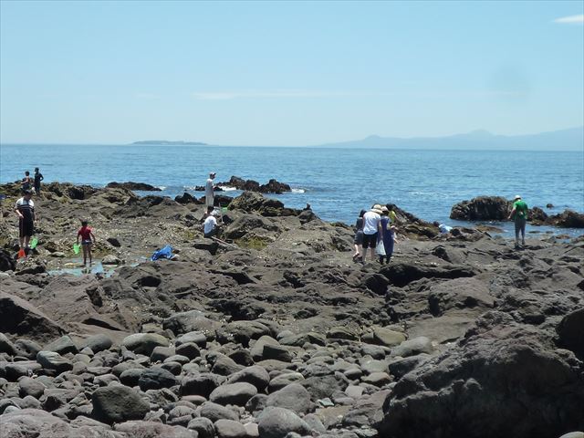 b0287088_20495422.jpg