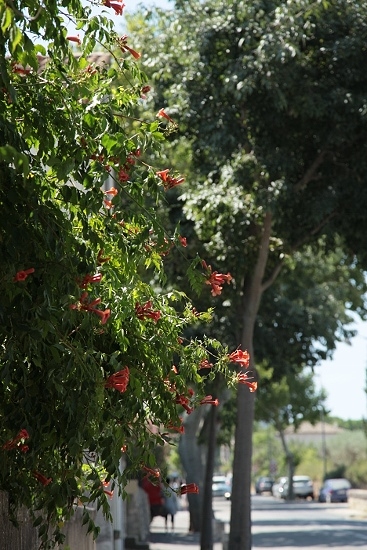 e0209997_2142594.jpg