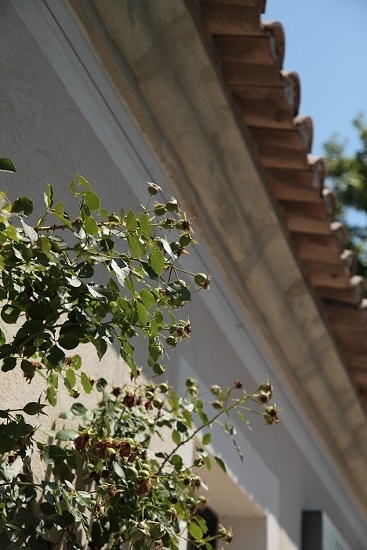 e0209997_2163483.jpg