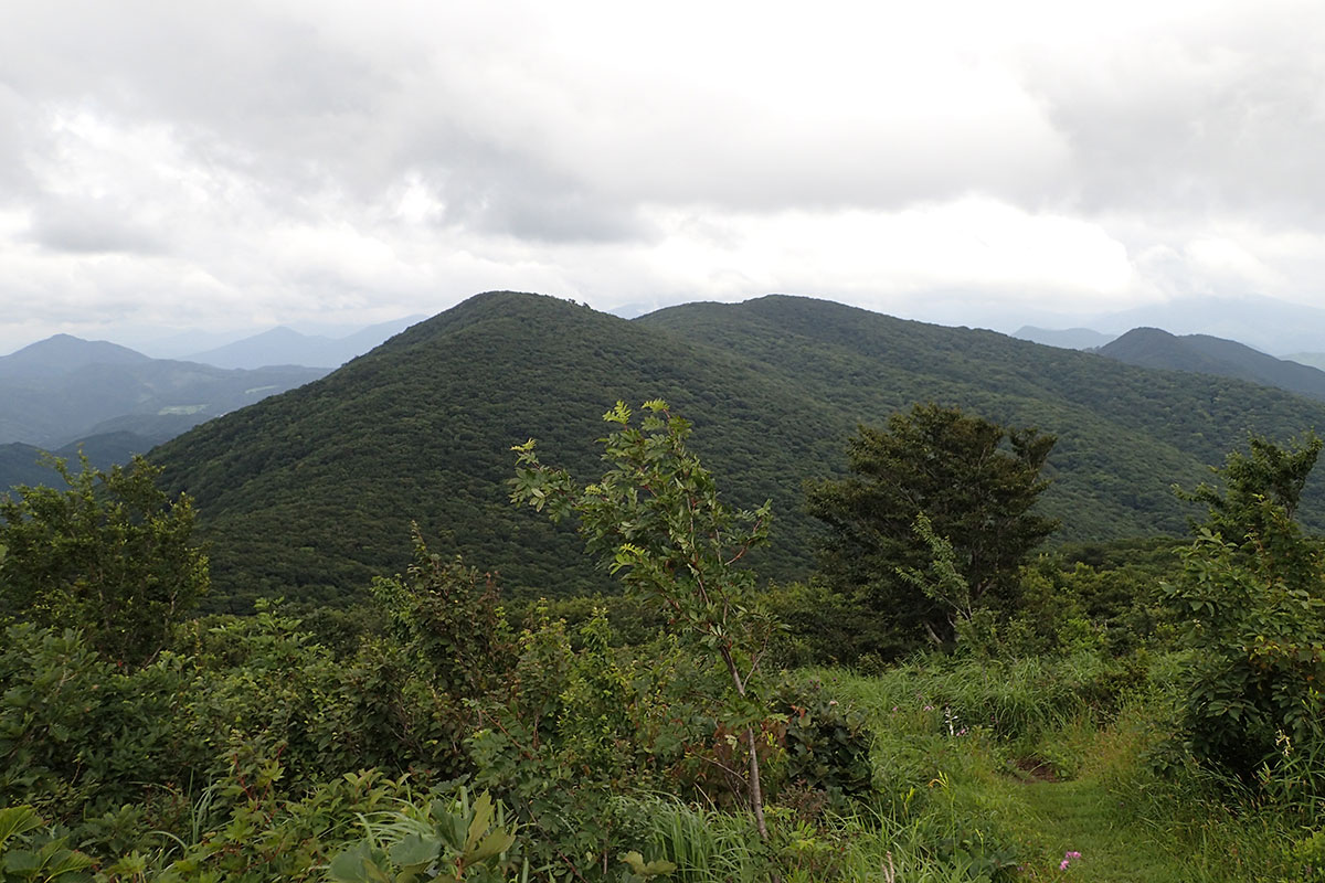 c0064025_16164848.jpg