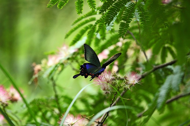 a0242438_19432269.jpg