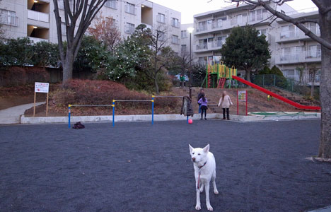 a0117039_2293847.jpg