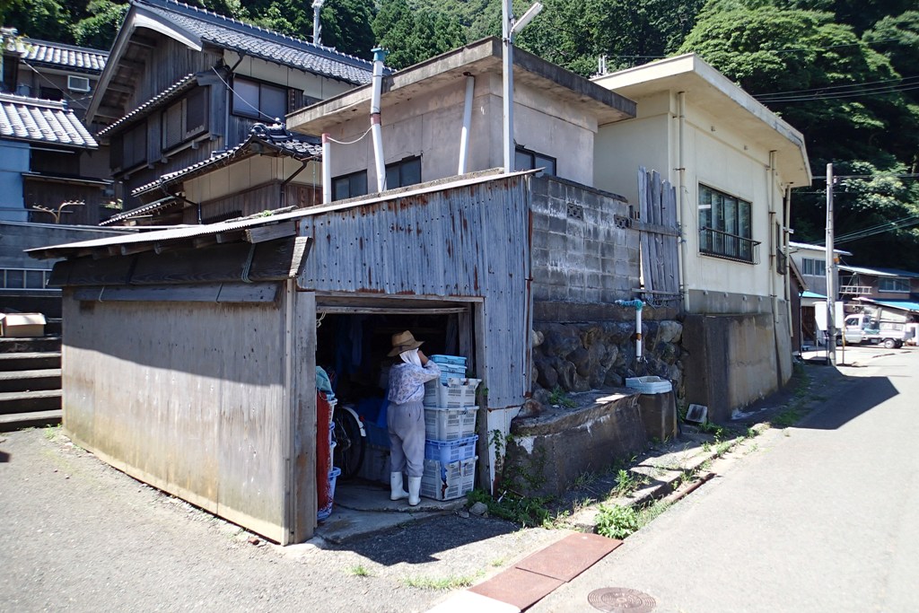 d0090161_824348.jpg