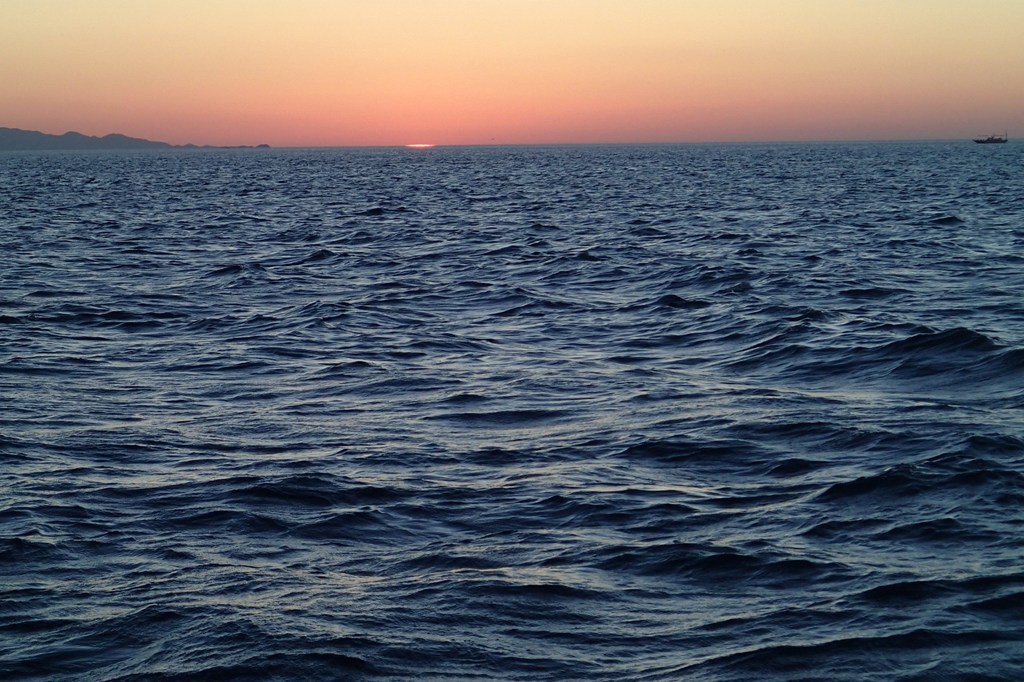 d0090161_853278.jpg