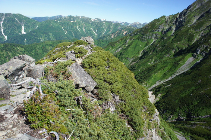 e0338862_19445007.jpg