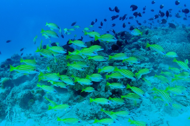 b0062363_2040512.jpg