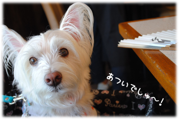 b0242873_00454445.png