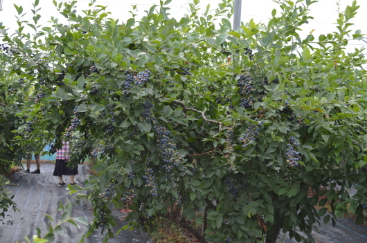 f0312278_17342208.jpg