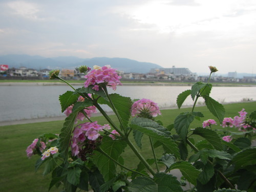 a0251786_19413676.jpg
