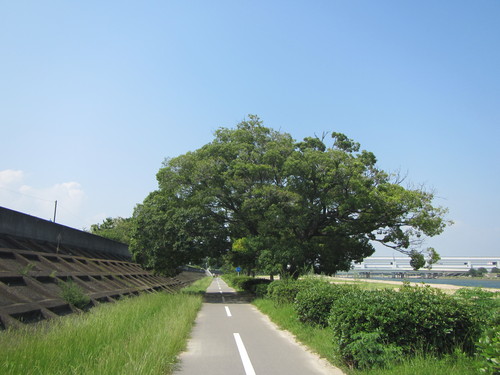 a0251786_19515785.jpg