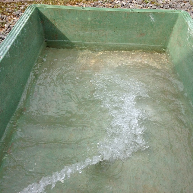 f0347194_19425553.jpg