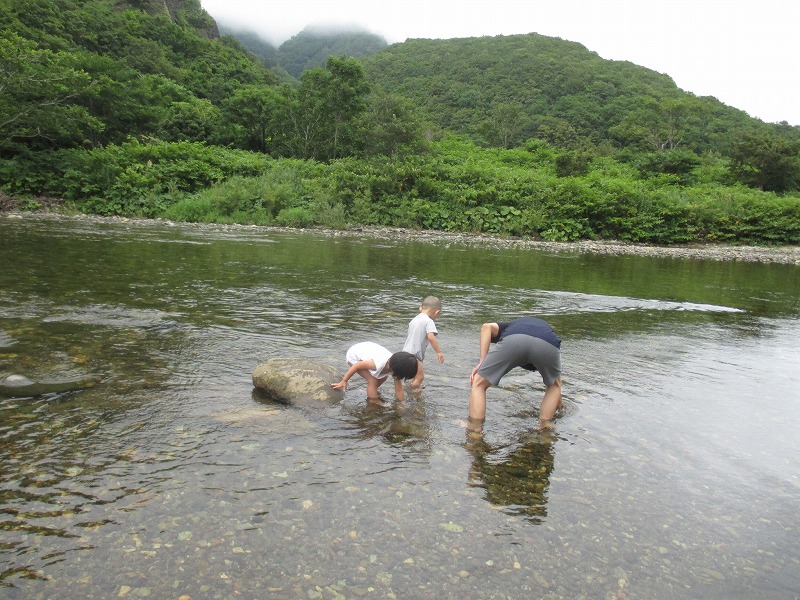 f0202703_422283.jpg