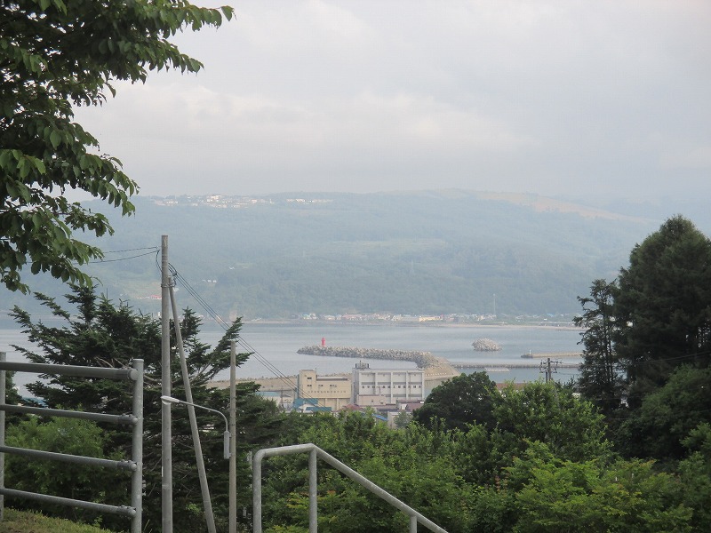 f0202703_491289.jpg