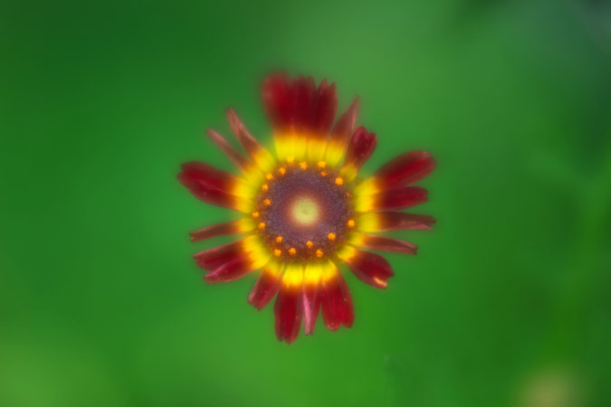 a0263109_14264368.jpg