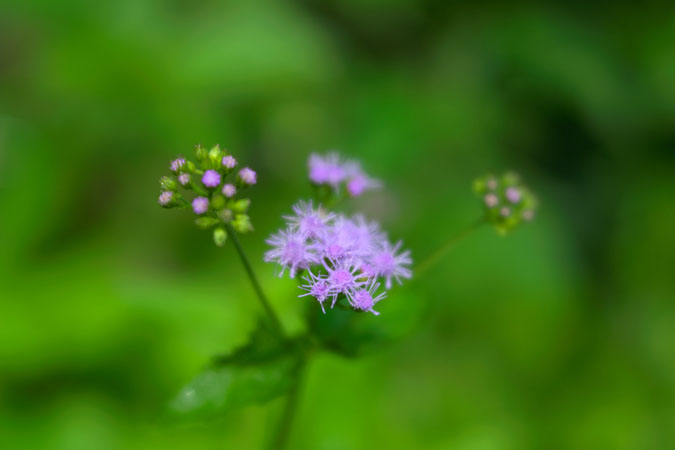 a0263109_14283318.jpg