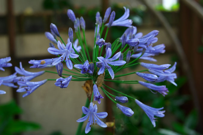 a0263109_1428619.jpg