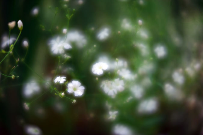a0263109_14295719.jpg