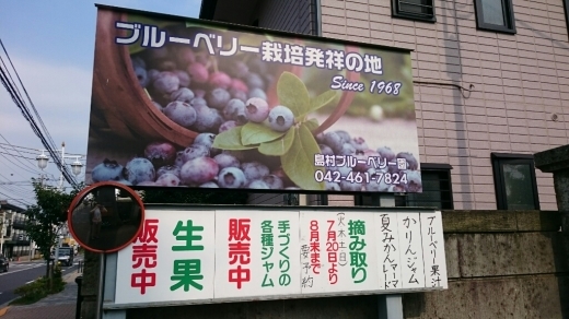 c0196611_17380790.jpg