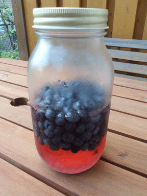 e0312121_1052747.gif