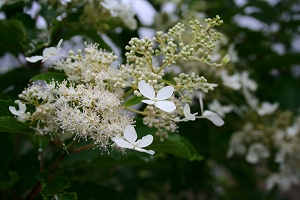 f0193521_16404849.jpg