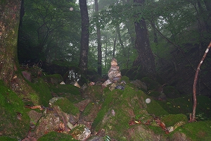 f0193521_7194521.jpg
