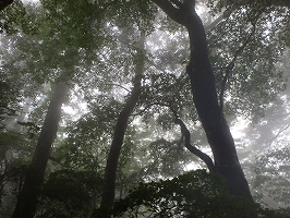 f0193521_7221979.jpg