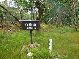 f0193521_727466.jpg