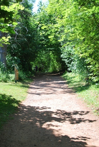 c0013922_17372217.jpg