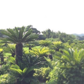f0309325_14025558.jpg