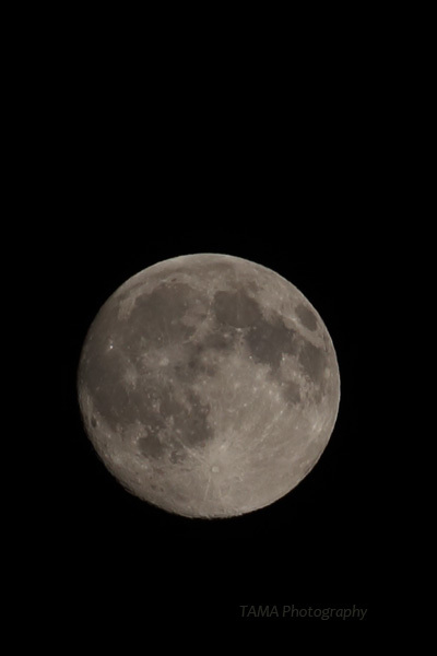 c0024729_21180496.jpg